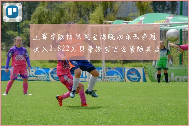 上赛季欧协联奖金揭晓切尔西夺冠收入21822万贝蒂斯紫百合紧随其后